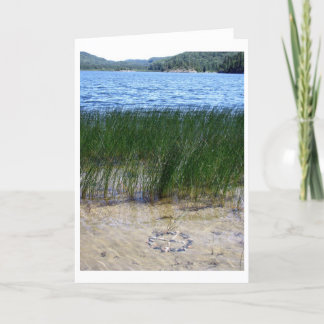 アニシナベキャンプ カード