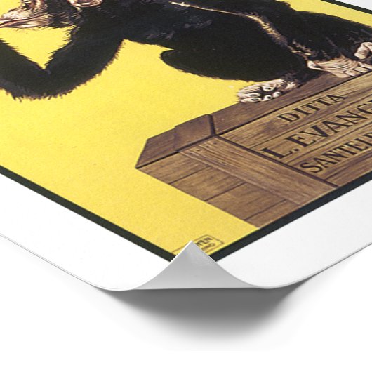 アニセッタエヴァンゲリスティ ポスター (角)