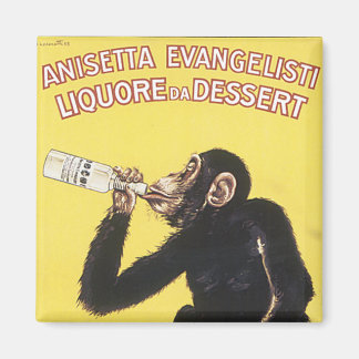 アニセッタエヴァンゲリスティ マグネット