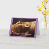 アニバーサリーカードハイランド牛 カード (黄色い花)