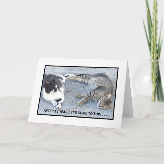 アニバーサリーコンテントメント/2匹の眠い猫/ユーモア カード (正面)