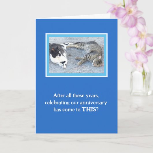 アニバーサリーコンテントメント/2匹の眠い猫/ユーモア カード (蘭)