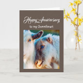 アニバーサリースイートファーオールドヤギ愛 カード (黄色い花)