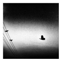 アニバース・ノワール（使命）