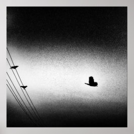 アニバース・ノワール（使命） ポスター