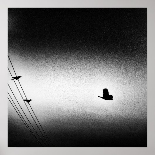 アニバース・ノワール(使命) ポスター (正面)