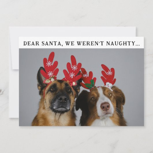 アニマルおもしろいカスタムドッグフォトクリスマス写真 シーズンカード (正面)