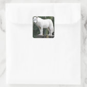 アニマルウルフ自然ピースラブデスティニー スクエアシール (バッグ)