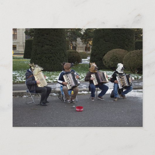 アニマルコンサート ポストカード (正面)