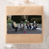 アニマルコンサート ラベル (インサイチュ)