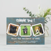 アニマルシェルターサンキュー写真テンプレートカード 招待状 (スタンド正面)