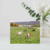 アニマルズヤッグスパスチュアバーモント写真誕生日 ポストカード (スタンド正面)
