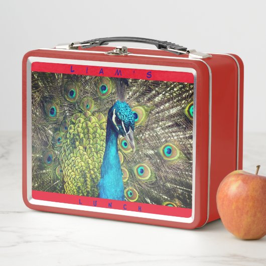 アニマルバードオモフクロウ（個人名） メタルランチボックス (インサイチュ)