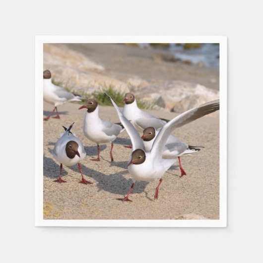 アニマルバードブラックヘッドビーチ スタンダードカクテルナプキン (正面)