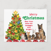 アニマルファミリークリスマスホリデーカード シーズンポストカード (正面)