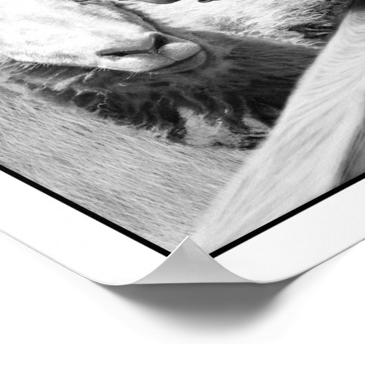 アニマルファーム – Squealer ポスター (角)