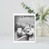 アニマルファーム – Squealer ポストカード (スタンド正面)