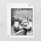 アニマルファーム – Squealer ポストカード (正面/裏面)