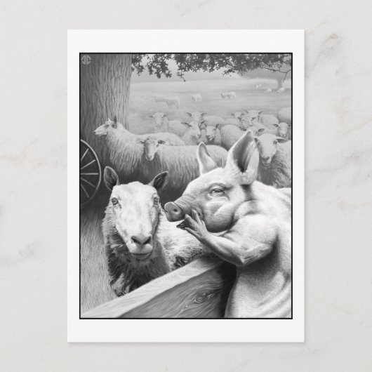 アニマルファーム – Squealer ポストカード (正面)