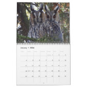 アニマルフクロウ鳥ライフオフィスホームデスティニーの運命 カレンダー (1月 2026)