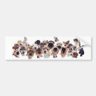 Animalsギフト–ギフトアイデア | Zazzle.co.jp