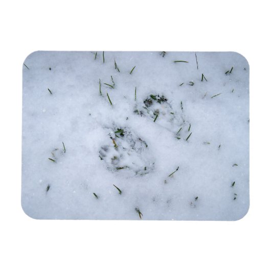 アニマルプリント マグネット (横)