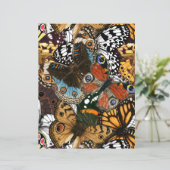 アニマルプリント。蝶の羽。 (スタンド正面)