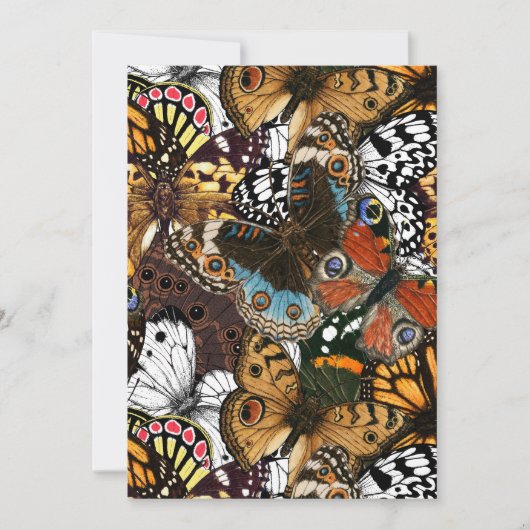 アニマルプリント。蝶の羽。 (正面)