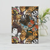 アニマルプリント。蝶の羽。 (スタンド正面)