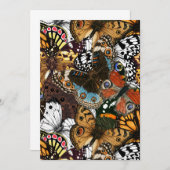 アニマルプリント。蝶の羽。 (正面/裏面)