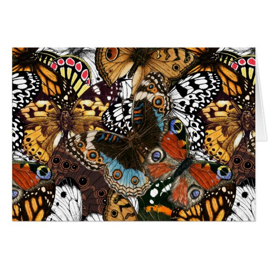 アニマルプリント。蝶の羽。 (正面横)