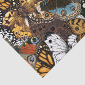 アニマルプリント。蝶の羽。 薄葉紙 (詳細)