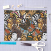 アニマルプリント。蝶の羽。 薄葉紙 (クラフト)