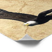 アニマルライツ詩とハゲワシの詩のポスター ポスター (角)