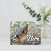 アニマルリスおもしろいかわいいハローはがき ポストカード (スタンド正面)