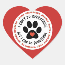 アニマルレスキュー猫レスキューTNR – 何とかできる