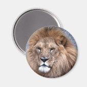 アニマルワイルド1 マグネット (正面/裏面)