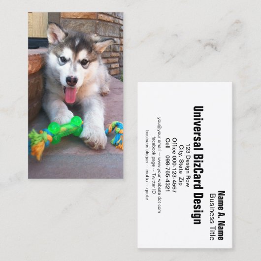 アニマル気にラスカンマラムテ写真プロフェッショナル 名刺 (正面/裏面)