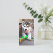 アニマル気にラスカンマラムテ写真プロフェッショナル 名刺 (スタンド正面)