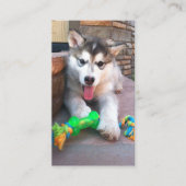 アニマル気にラスカンマラムテ写真プロフェッショナル 名刺 (正面)