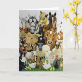 アニマル・アソーツ カード (黄色い花)