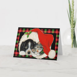 アニマル・レスキュー・サンタ カード