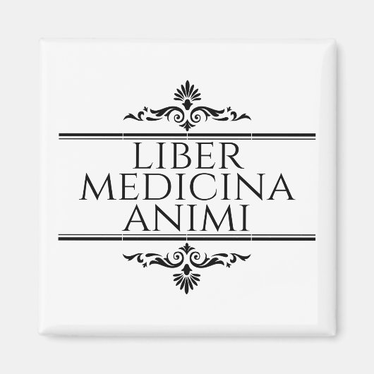 アニミ州リバー マグネット (正面)