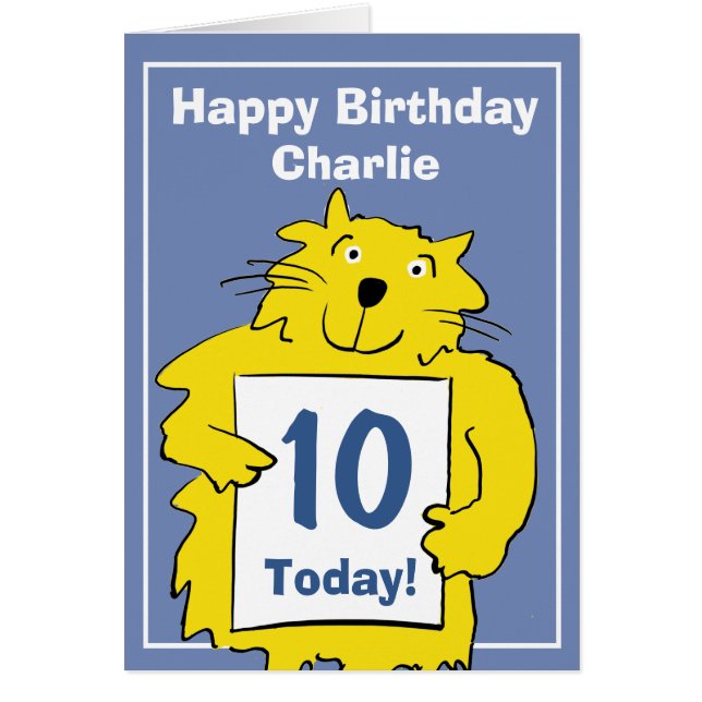 アニメおもしろいの猫が自分のものにする (正面)