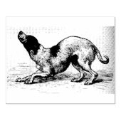 アニメの世界を垣間見る：犬 ラバースタンプ (インプリント)