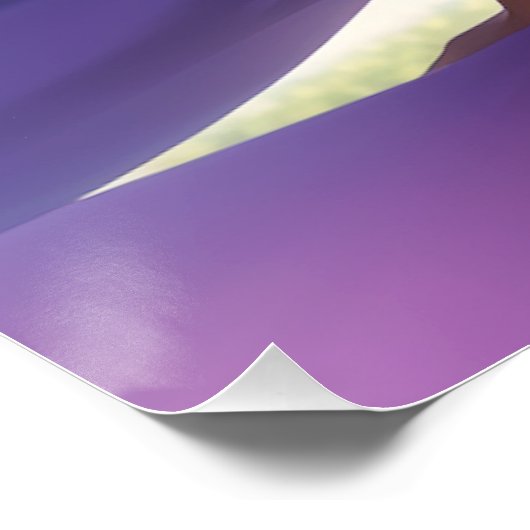 アニメブラックガールパープルアニメコア ポスター (コーナー)