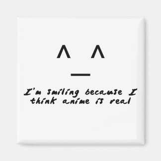 アニメ実在 マグネット