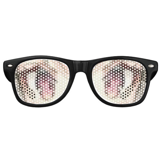 アニメ・アイグラス レトロサングラス (正面)