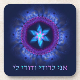 アニルドディヴドディリ コースター