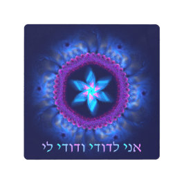 アニルドディヴドディリ メタルプリント